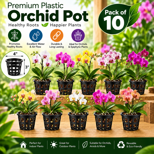 Premium Plastic Hydroponic & Orchid Pot, (4" Diameter x 3" Height)
