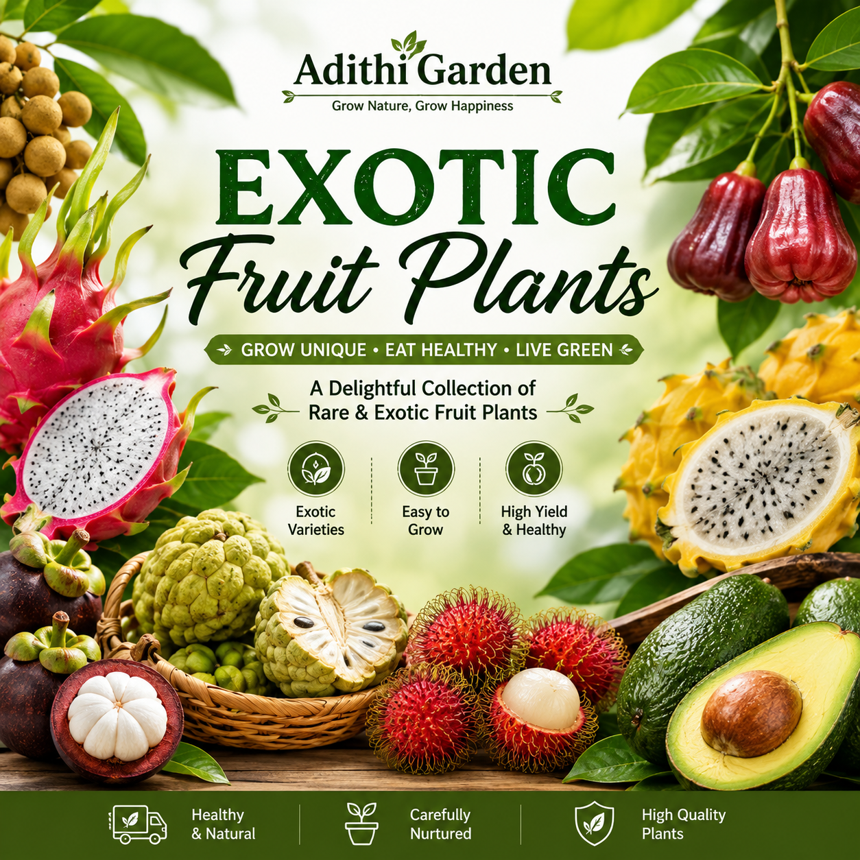 Exotic Fruit Plants