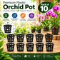 Premium Plastic Hydroponic & Orchid Pot, (4" Diameter x 3" Height)
