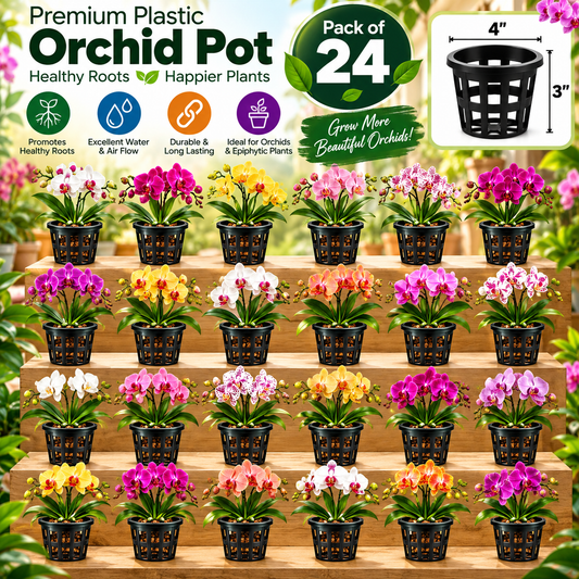 Premium Plastic Hydroponic & Orchid Pot, (4" Diameter x 3" Height)
