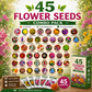 45 Flower Seeds Combo Pack – 45 Premium Flower Seed Varieties for Home Garden | High Germination | All Season Flower Seeds