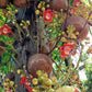 Cannon Ball Tree (Couroupita guianensis) Nagalingam/Shivalingam Medicinal Plant